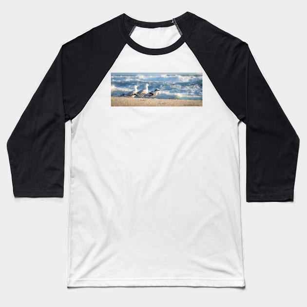 Birds on beach. Juvenile white-fronted tern injured on beach and surrounded by seagulls perhaps to offer some protection. Baseball T-Shirt by brians101